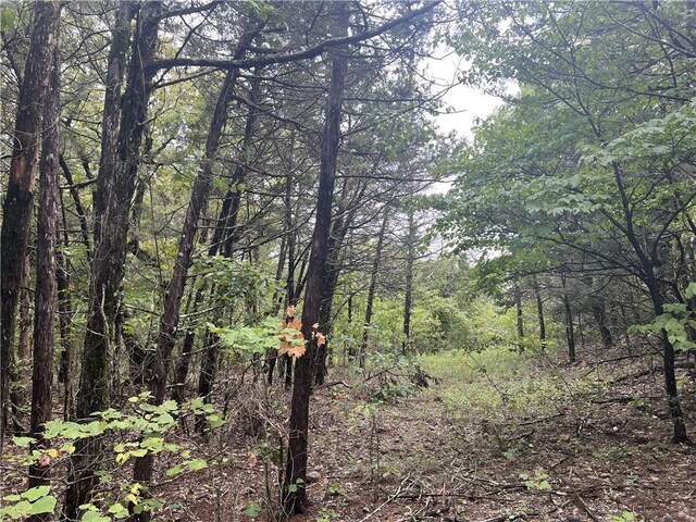 Grassy Gap Rd, Harrison, AR 72601 - photo 1