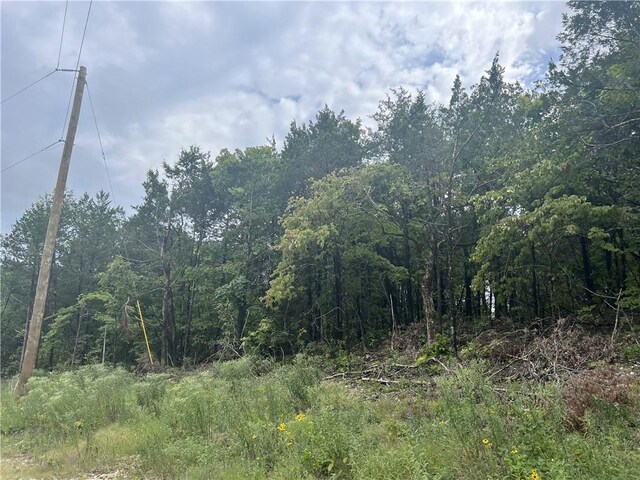 Grassy Gap Rd, Harrison, AR 72601 - photo 2