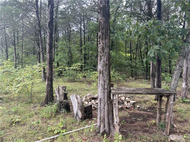 Grassy Gap Rd, Harrison, AR 72601 - photo 3