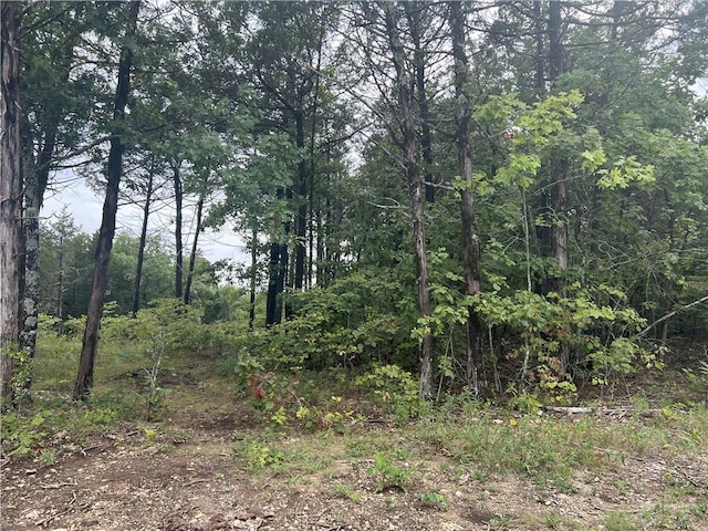 Grassy Gap Rd, Harrison, AR 72601 - photo 4