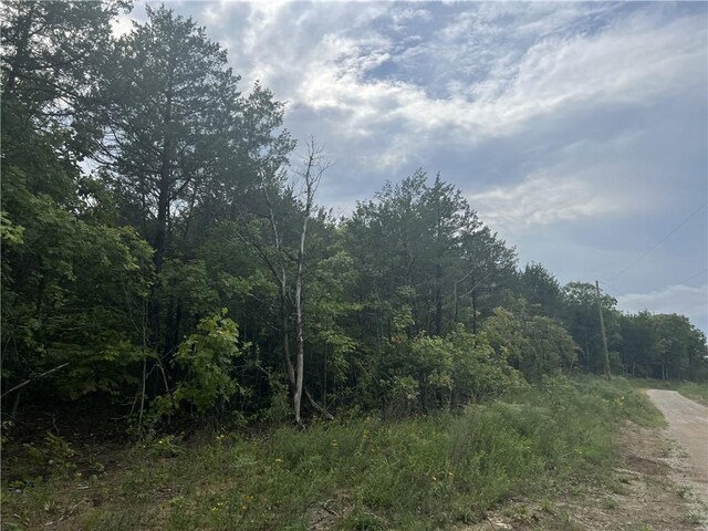 Grassy Gap Rd, Harrison, AR 72601 - photo 5
