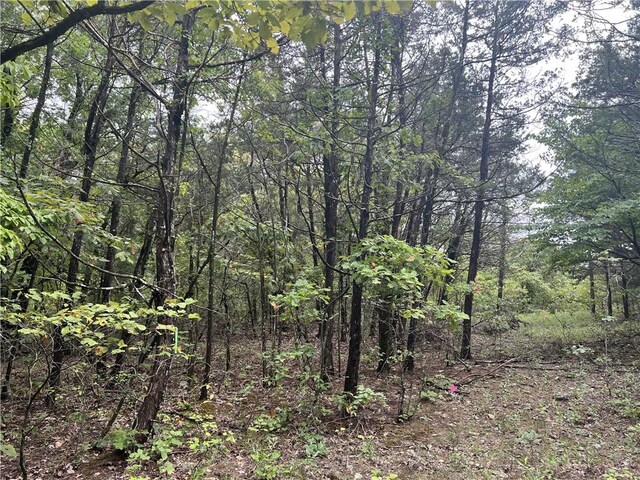 Grassy Gap Rd, Harrison, AR 72601 - photo 6