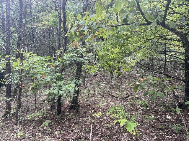 Grassy Gap Rd, Harrison, AR 72601 - photo 7