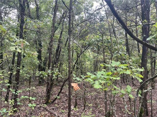 Grassy Gap Rd, Harrison, AR 72601 - photo 8