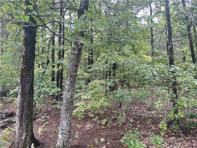 Grassy Gap Rd, Harrison, AR 72601 - photo 10