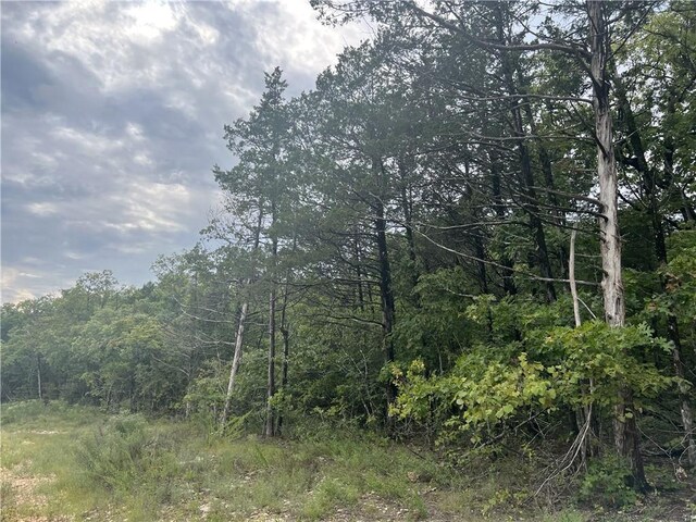 Grassy Gap Rd, Harrison, AR 72601 - photo 11
