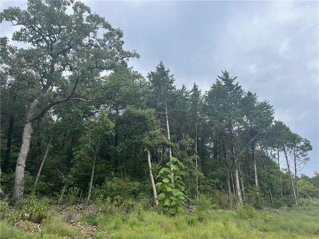 Grassy Gap Rd, Harrison, AR 72601 - photo 12