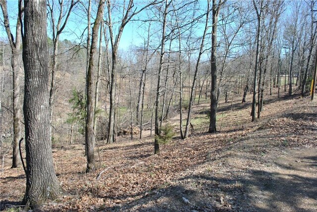 Listing photo 3 for LOT104 E Robin Rd, Rogers AR 72756