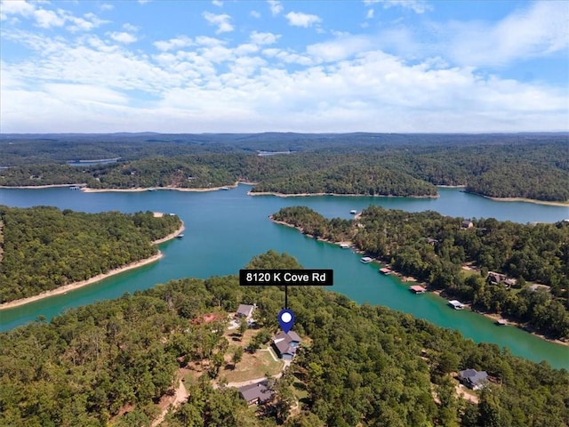 aerial view featuring a forest view and a water view