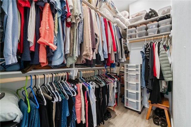 walk in closet featuring wood finished floors