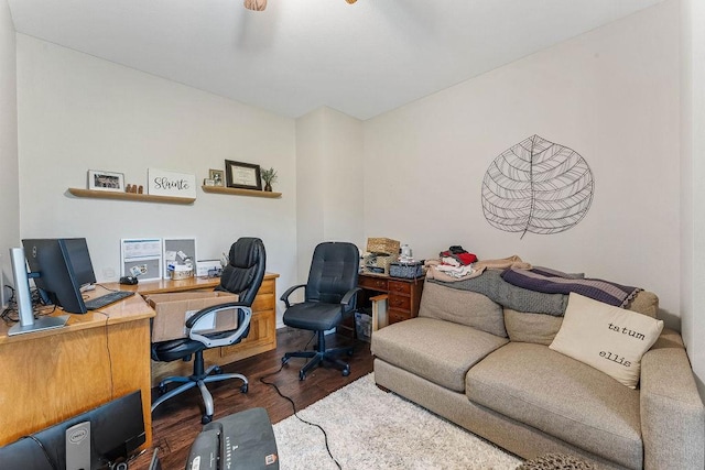 office space featuring dark hardwood / wood-style floors