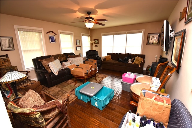 living room featuring ceiling fan and dark hardwood / wood-style floors