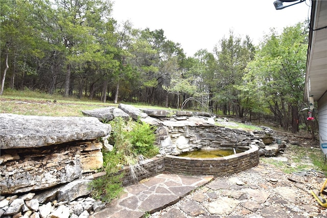 view of yard with a patio area