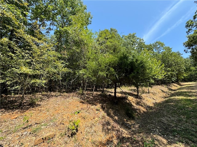 Listing photo 2 for TractB Director Road, West Fork AR 72774