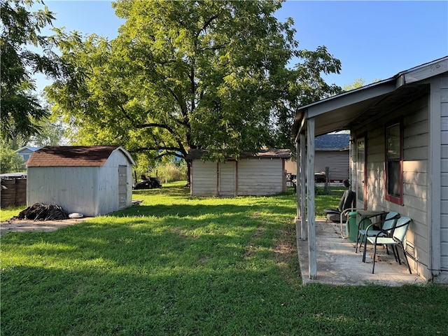 view of yard featuring a patio and a storage unit