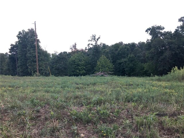 Listing photo 3 for Kelly Pond Rd, Decatur AR 72722