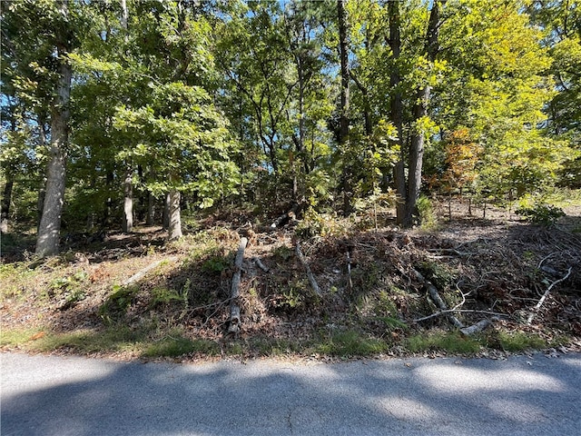 Lot5 Cedar Terrace, Rogers AR, 72756 land for sale