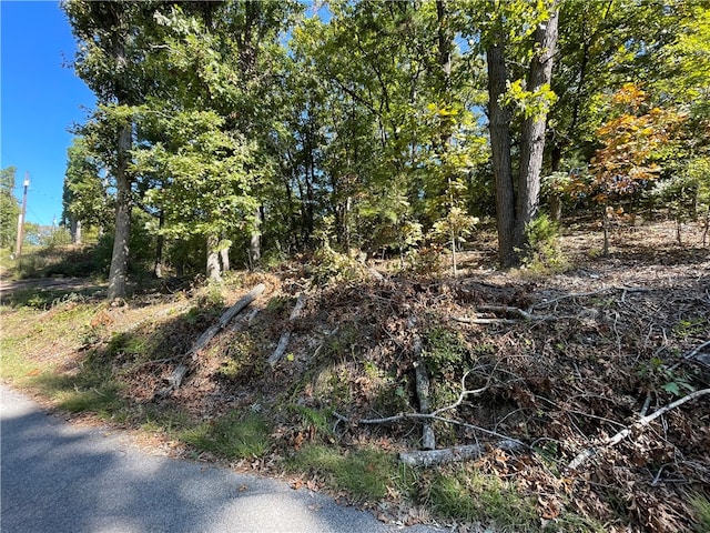 Listing photo 3 for Lot5 Cedar Terrace, Rogers AR 72756