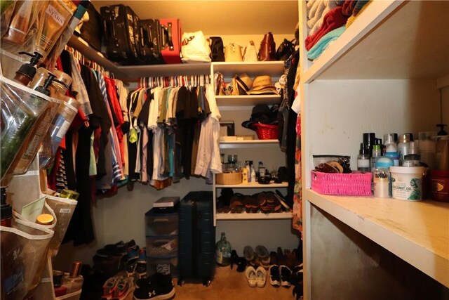 view of walk in closet