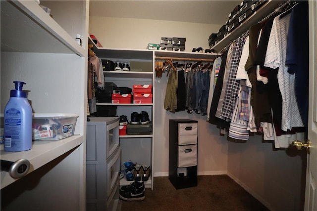 view of spacious closet