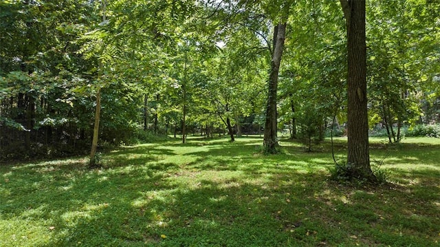 view of yard featuring a wooded view