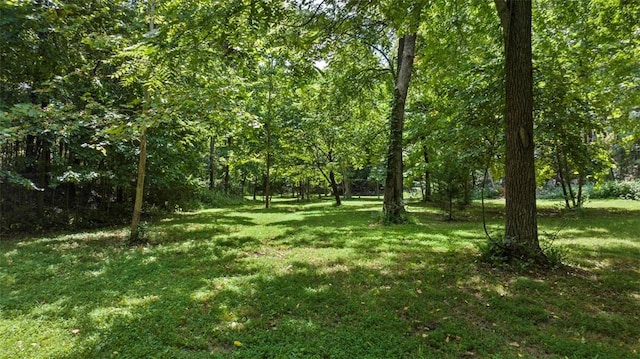 14450 Fruitwood Rd, Gravette, AR 72736 - photo 26