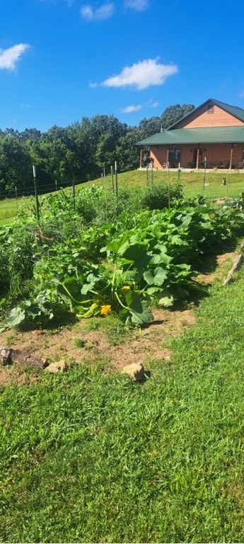 view of yard featuring a rural view