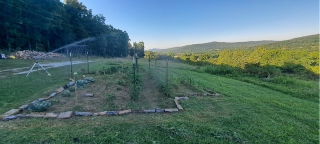 view of yard with a rural view and a mountain view