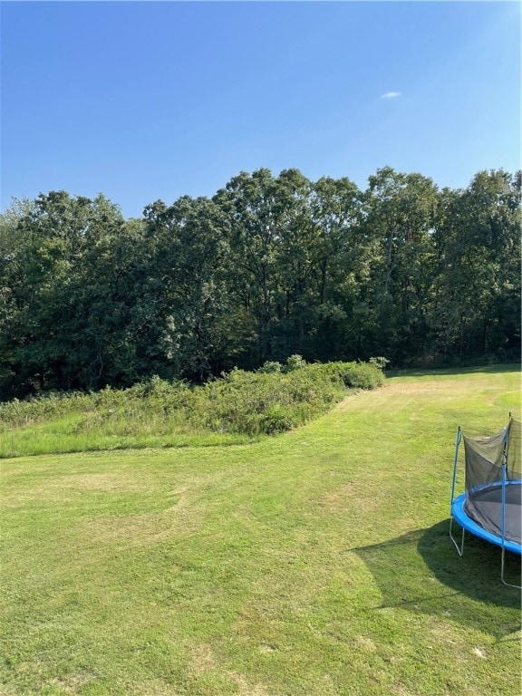 view of yard with a trampoline