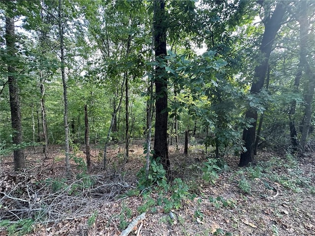 Glyndebourne Dr, Bella Vista, AR 72714 - photo 1