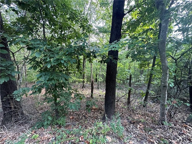 Glyndebourne Dr, Bella Vista, AR 72714 - photo 7
