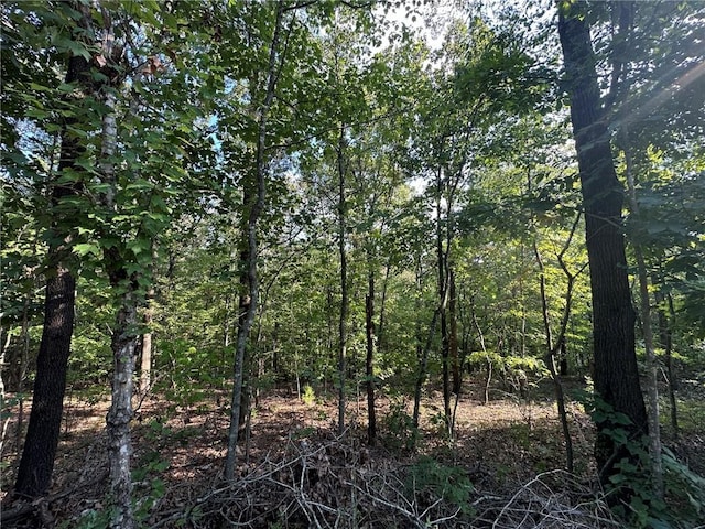 Glyndebourne Dr, Bella Vista, AR 72714 - photo 2