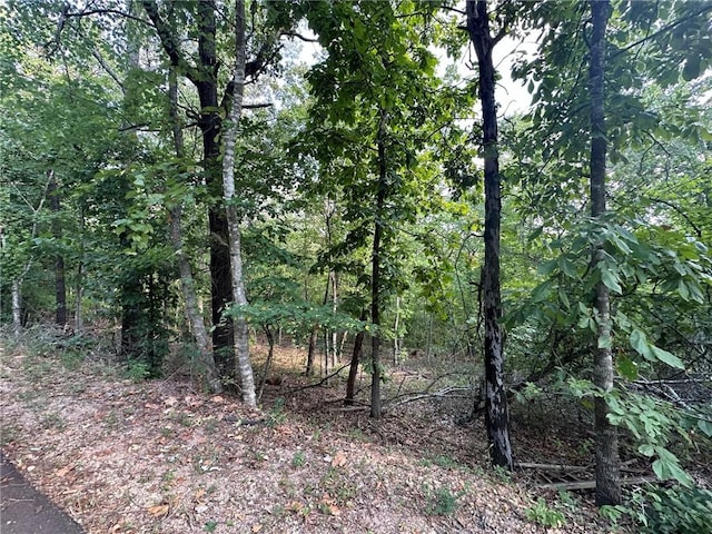 Glyndebourne Dr, Bella Vista, AR 72714 - photo 8