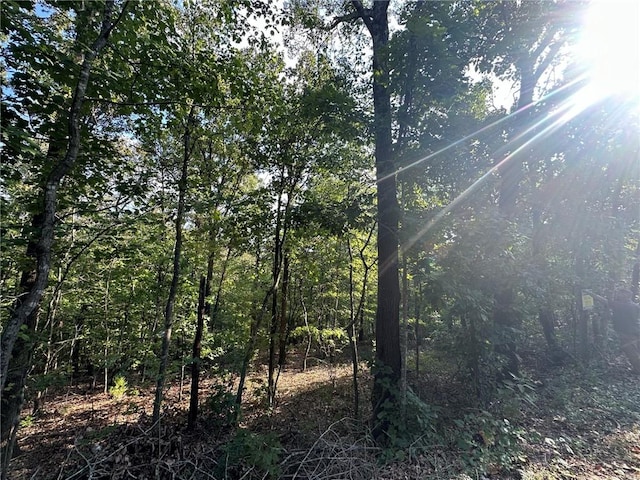 Glyndebourne Dr, Bella Vista, AR 72714 - photo 6