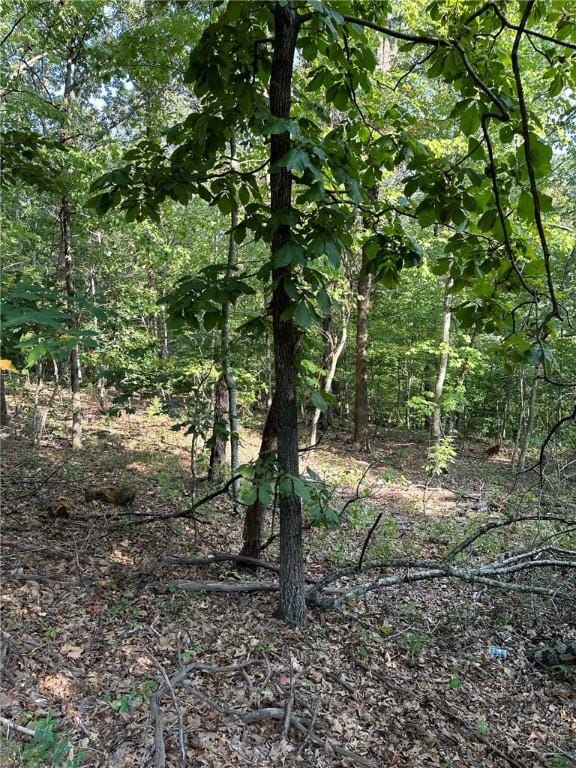 Glyndebourne Dr, Bella Vista, AR 72714 - photo 10