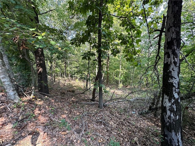 Glyndebourne Dr, Bella Vista, AR 72714 - photo 11