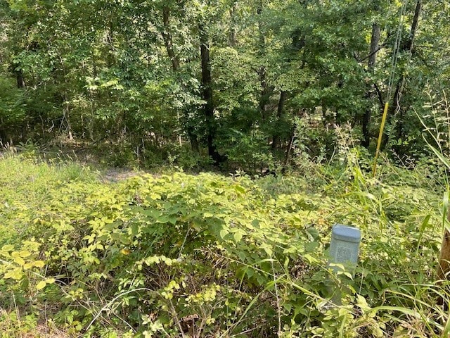 Listing photo 2 for LOT6 Bosworth Cir, Bella Vista AR 72714