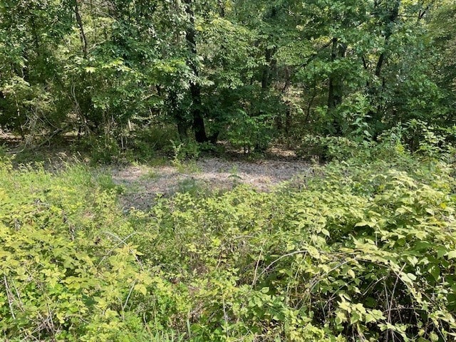 Listing photo 3 for LOT6 Bosworth Cir, Bella Vista AR 72714