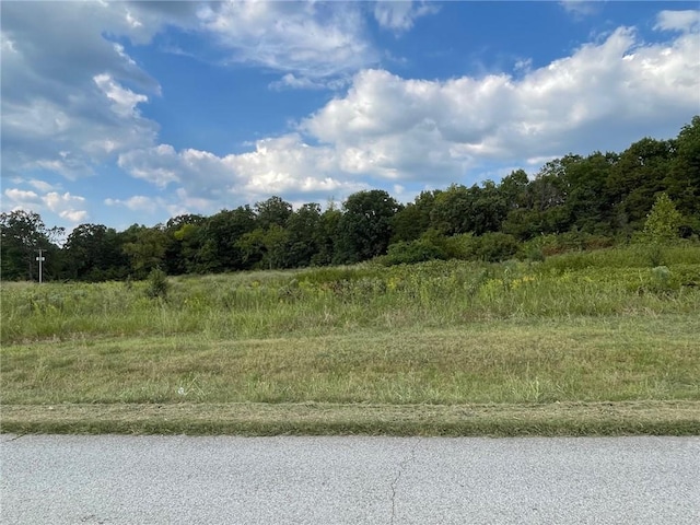 Listing photo 3 for TBD Trinnen, Berryville AR 72616