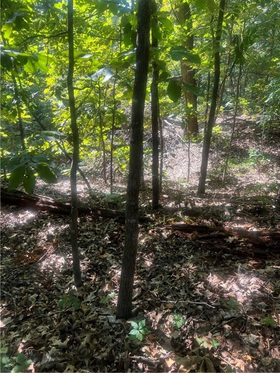 TBD Baltasound Ln, Bella Vista AR, 72715 land for sale