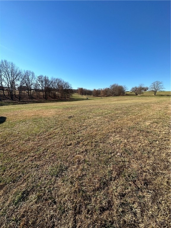 view of yard featuring a rural view