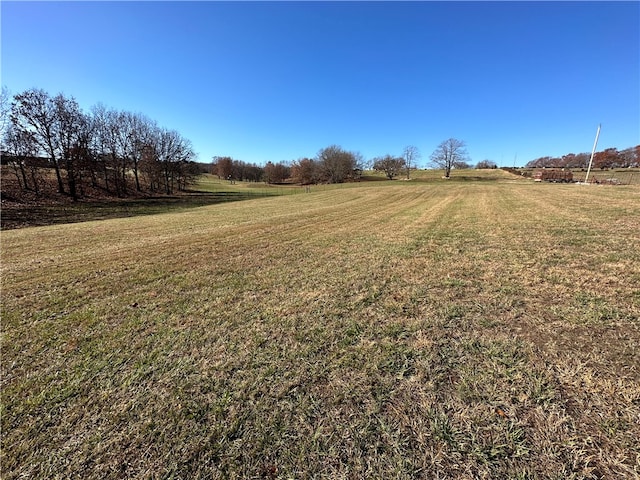 view of yard with a rural view