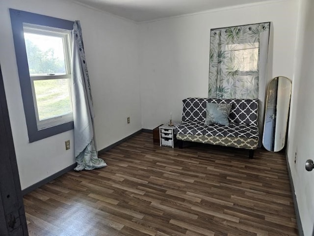 sitting room with dark hardwood / wood-style floors