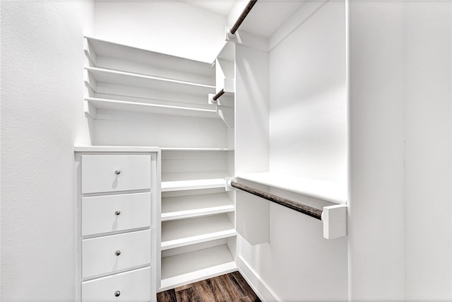 walk in closet with dark hardwood / wood-style flooring