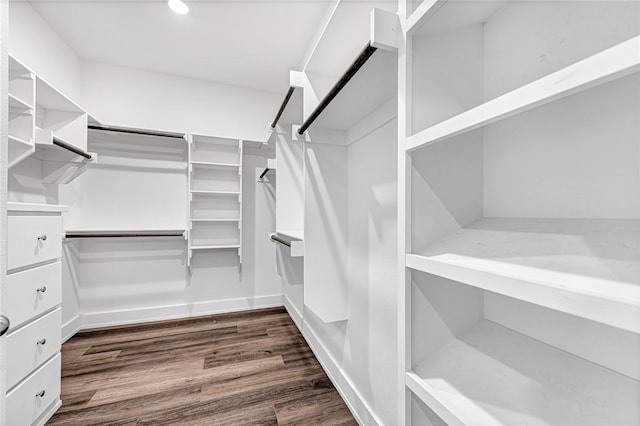 walk in closet with dark hardwood / wood-style flooring