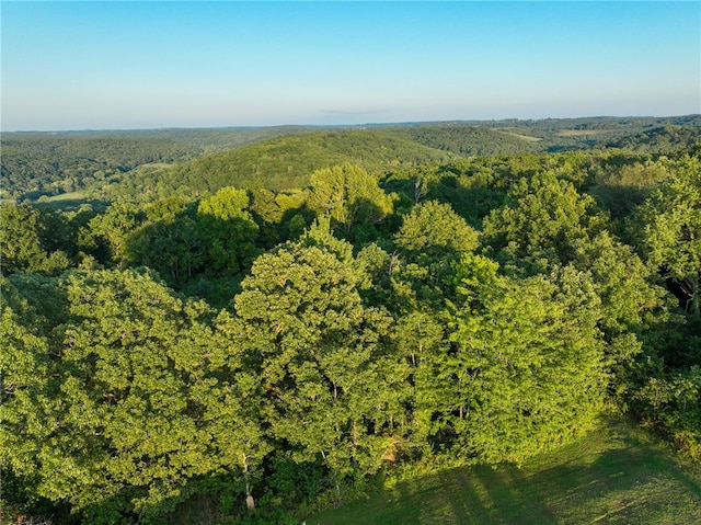 Listing photo 3 for 55AC N Devils Den Rd, Winslow AR 72959