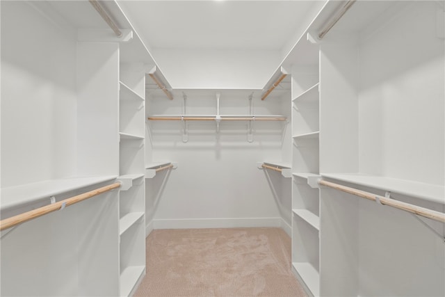 walk in closet featuring light carpet