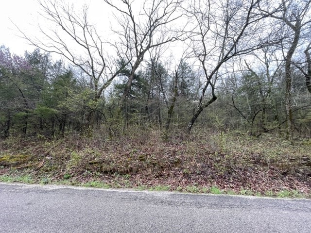 Listing photo 2 for 95 Wild Turkey Dr, Holiday Island AR 72631