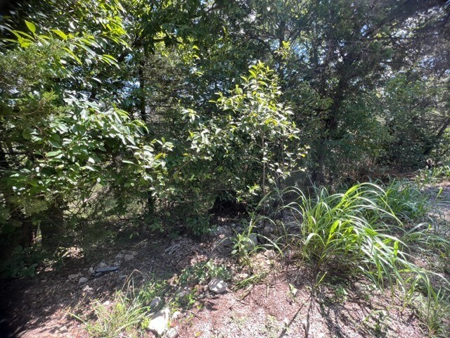 24 Beaver Dr, Holiday Island, AR 72631