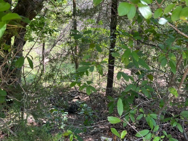 24 Beaver Dr, Holiday Island, AR 72631